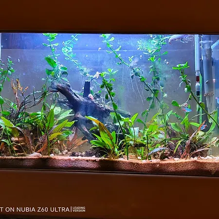 Appartement Atlantis *