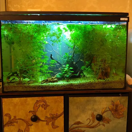 Atlantis Appartement *