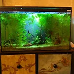 Atlantis Apartment *