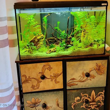 Apartmán Atlantis Terst