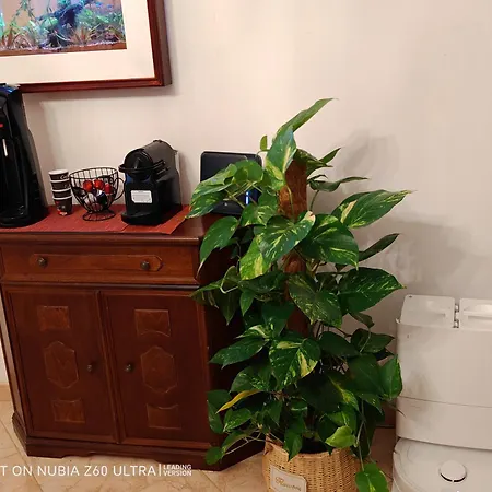 Atlantis Apartment *